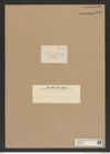 Diatomeae indet. Zeichnungen Sammlung Grunow Nr. 6831 (NHMW-BOT-W0375681)